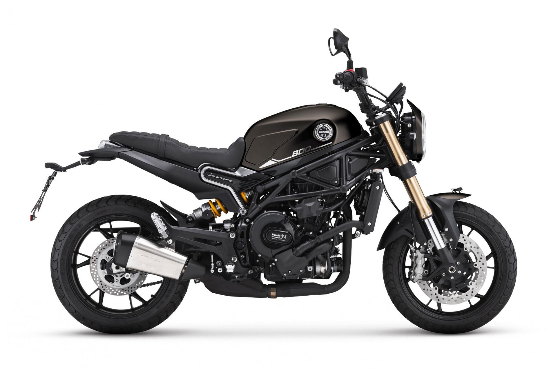 LEONCINO 800 E5